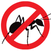 Ant Control Broadmeadows