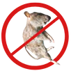 Dead Animal Removal Broadmeadows