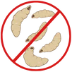 Maggot Control Broadmeadows