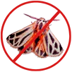 Moth Control Broadmeadows
